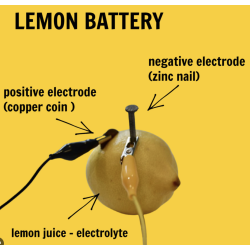 AR2 - How do you build a lemon battery?